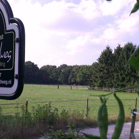 Vakantiehuis "Aan De Zandweg" Roderesch Luaran gambar