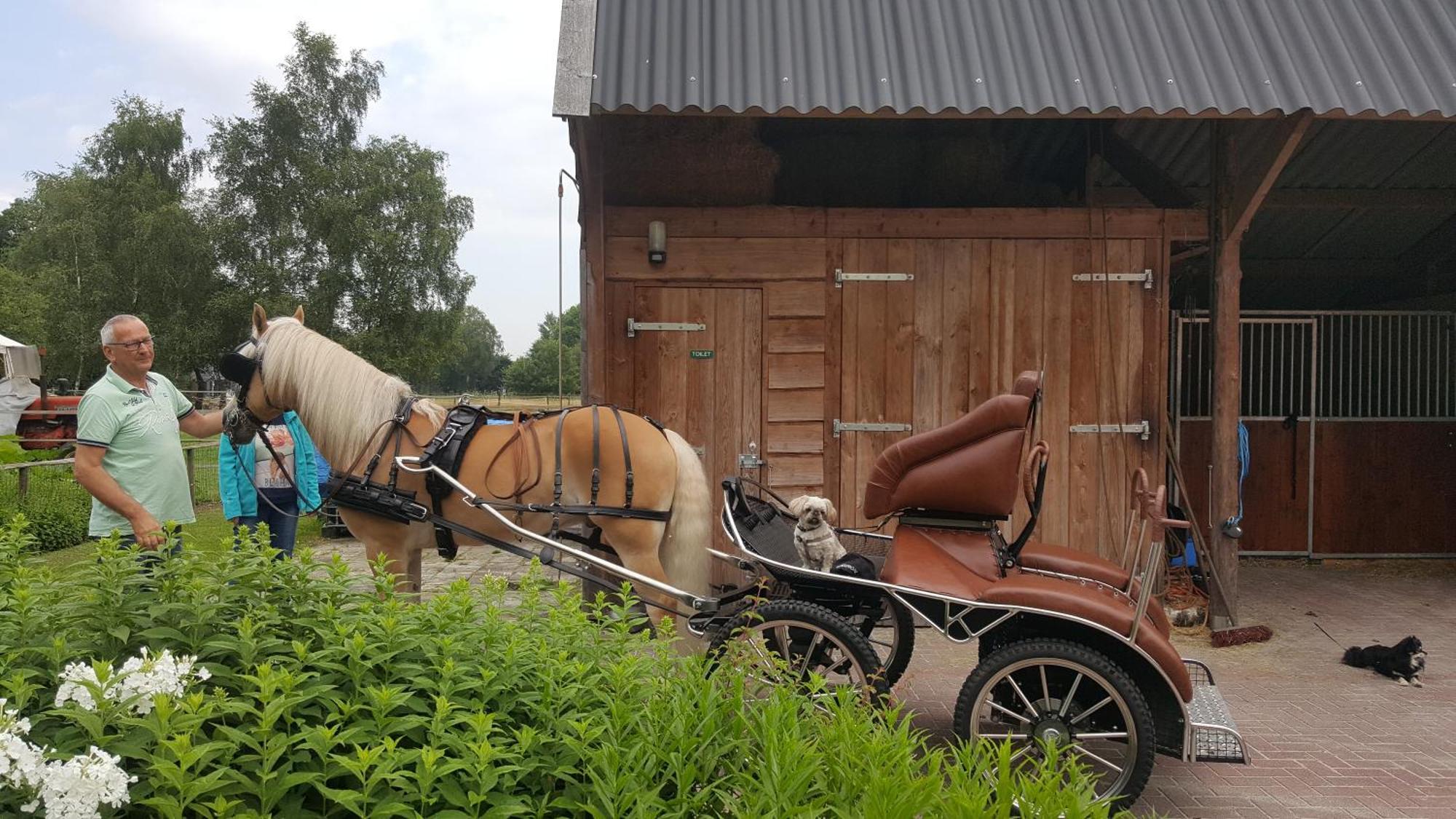 Vakantiehuis "Aan De Zandweg" Roderesch Luaran gambar